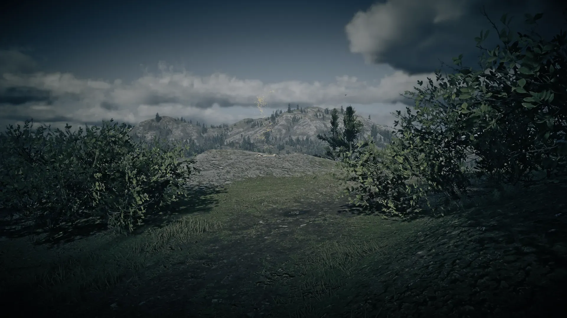 Dinosaur Bone #22 at Big Valley Beryl's Dream Overlook in Red Dead Redemption 2