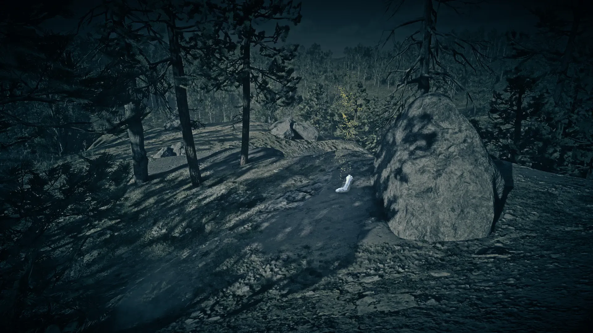 Dinosaur Bone #9 at Cumberland Forest Bacchus Station in Red Dead Redemption 2