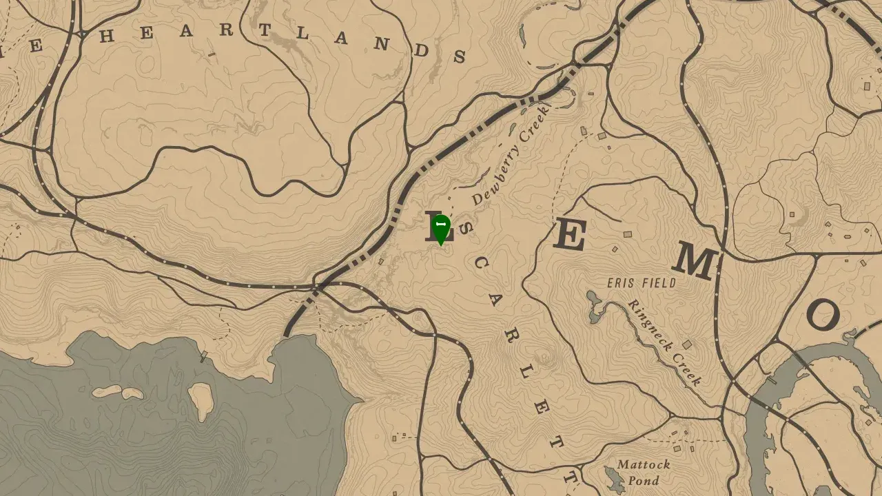 Dinosaur Bone #18, Scarlett Meadows Dewberry Creek Dinosaur Bone Location