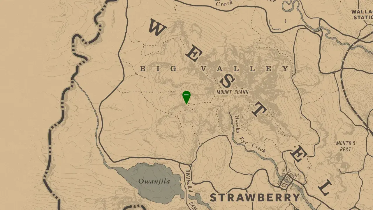 Dinosaur Bone #22, Big Valley Beryl's Dream Overlook Dinosaur Bone Location