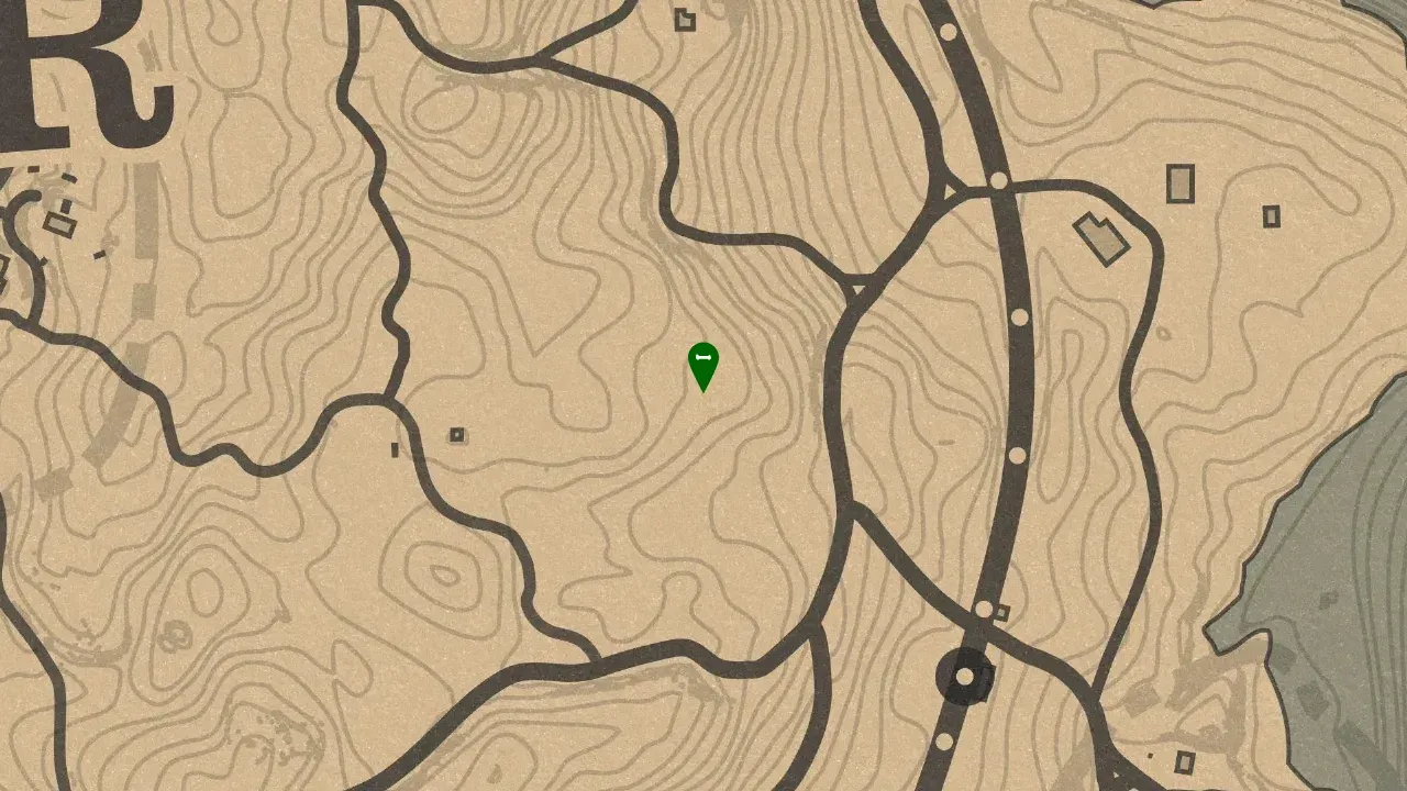 Dinosaur Bone #2, Roanoke Ridge Van Horn Dinosaur Bone Location Zoomed