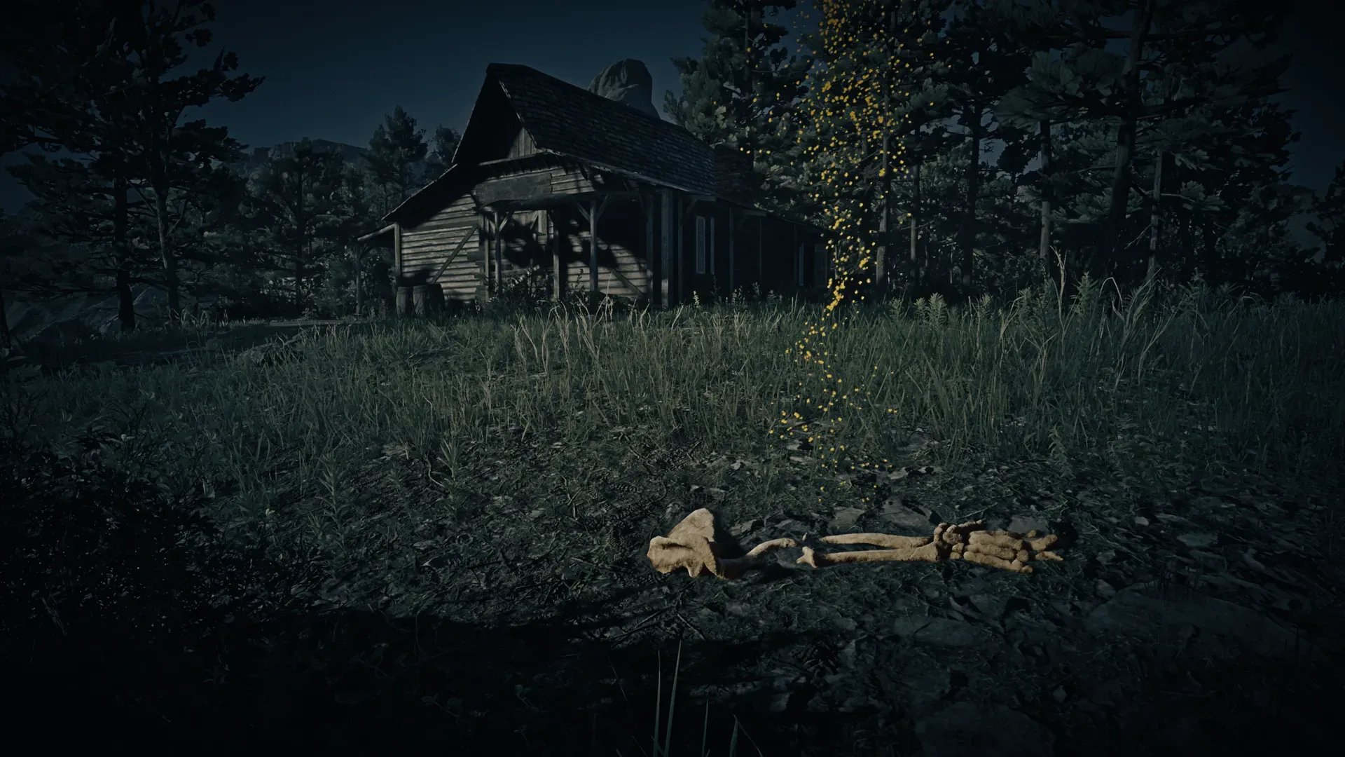 Dinosaur Bone #7 at Heartlands Abandoned Shack in Red Dead Redemption 2