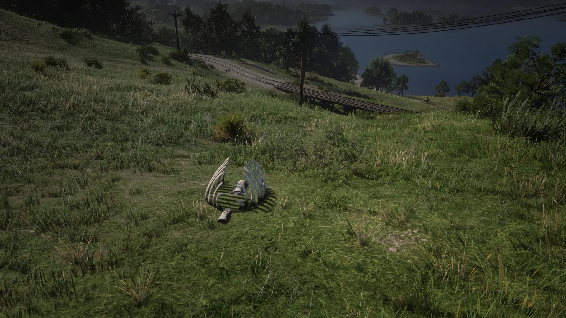Dinosaur Bone #19 at Heartlands Grassy Hill in Red Dead Redemption 2