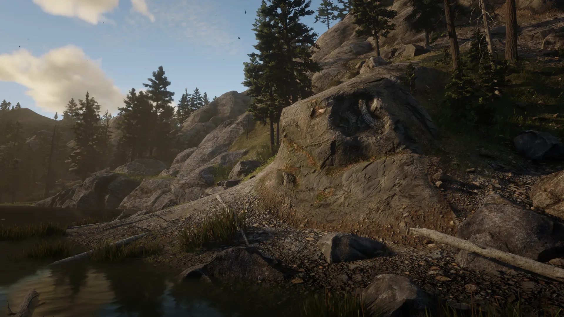 Rock Carving #1 at Owanjila in Red Dead Redemption 2