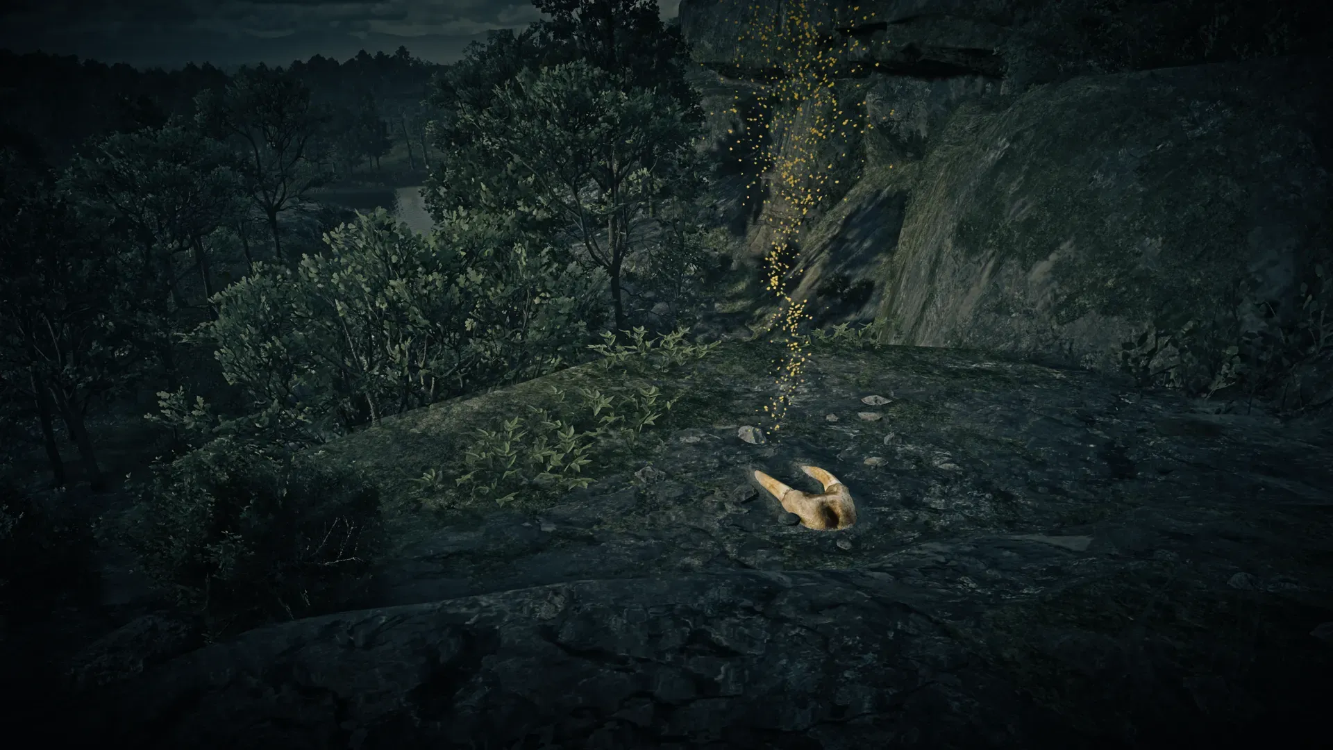 Dinosaur Bone #3 at Roanoke Ridge Kamassa River in Red Dead Redemption 2