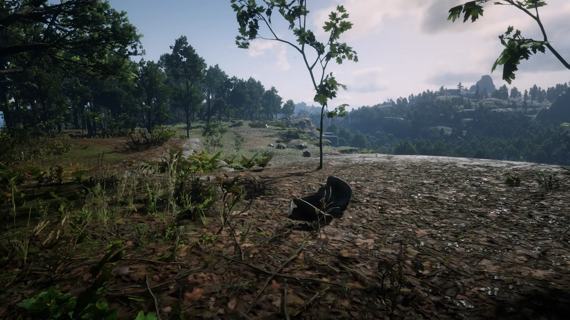 Dinosaur Bone #1 at Roanoke Ridge Valley Overlook in Red Dead Redemption 2