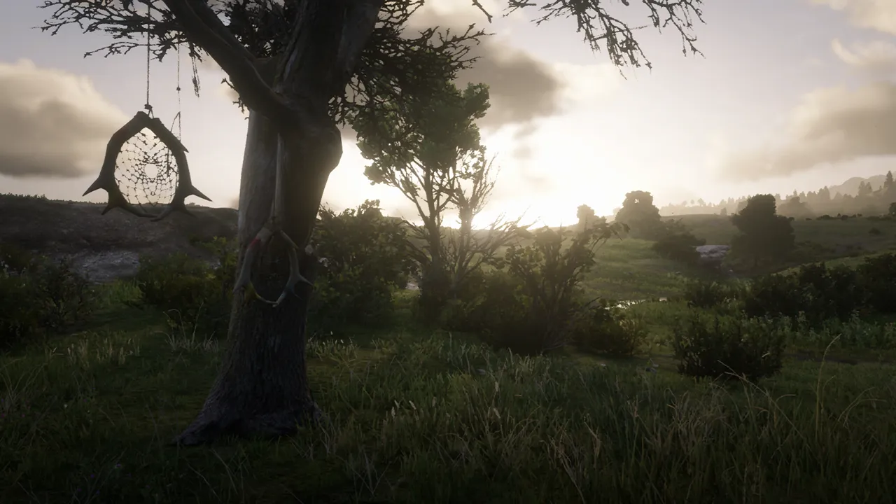 Red Dead Redemption 2 Dreamcatcher locations