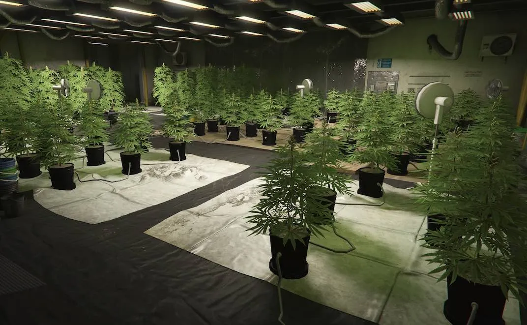 gta-v-online-weed-farm-warehouse