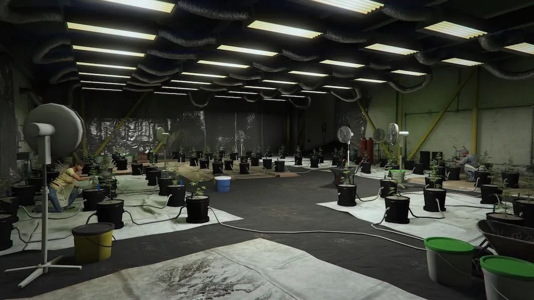 gta-v-online-weed-farm-start