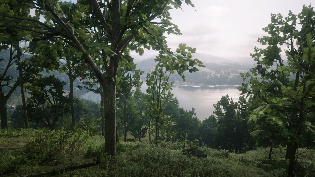 Roanoke Ridge Hill Dreamcatcher