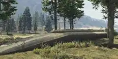Paleto Forest
