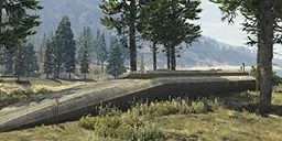 Paleto Forest