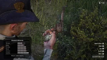 Granger's Revolver