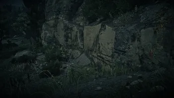 Grizzlies Rock Wall