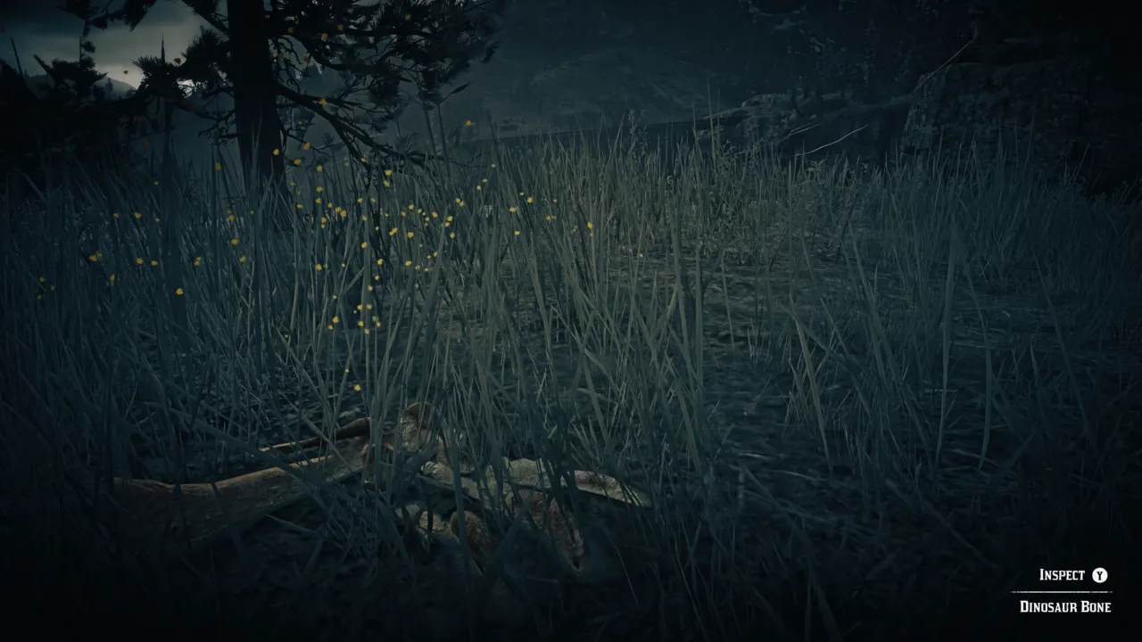 Heartlands Northern Boundary Location - Dinosaur Bones - Red Dead ...