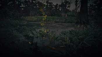 Legendary Alligator First Clue