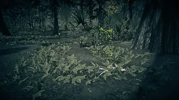 Legendary Alligator Second Clue