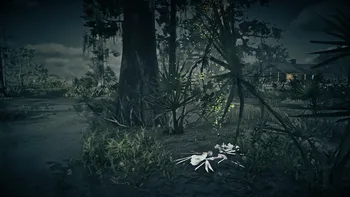 Legendary Alligator Third Clue