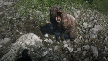 Legendary Bear