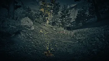 Legendary Bear Second Clue