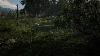 Legendary Beaver