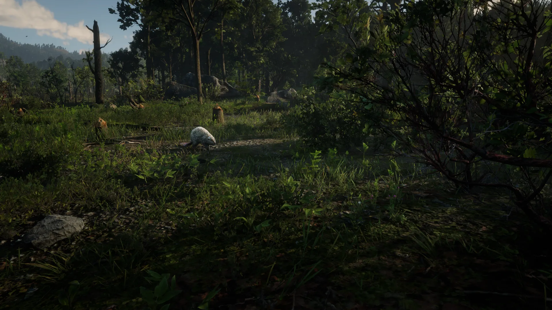 Legendary Beaver Location - Legendary Animal - Red Dead Redemption 2 ...