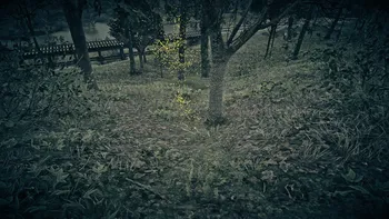 Legendary Beaver Third Clue