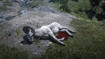 Legendary Bighorn Ram