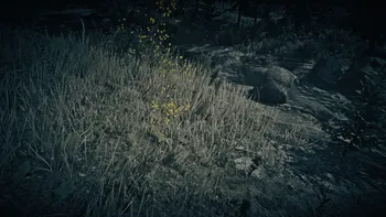 Legendary Bighorn Ram First Clue