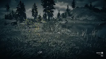 Legendary Bighorn Ram Third Clue
