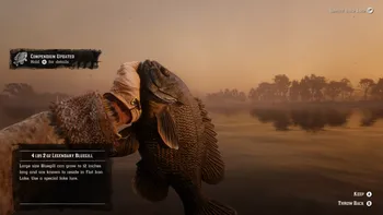 Legendary Bluegill Location