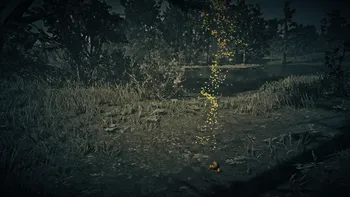Legendary Boar Third Clue
