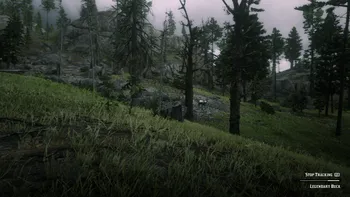 Legendary Buck