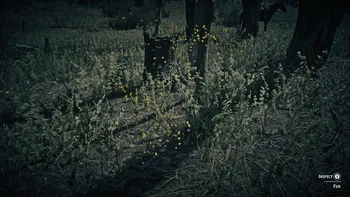 Legendary Buck First Clue