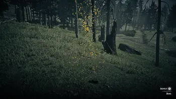 Legendary Buck Second Clue
