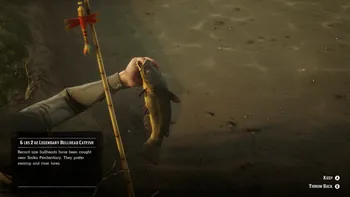 Legendary Bullhead Catfish