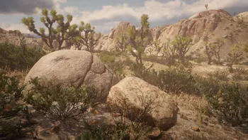 Legendary Cougar Boulder