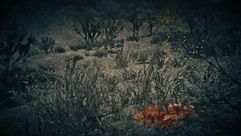 Legendary Cougar Second Clue