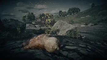 Legendary Coyote Third Clue