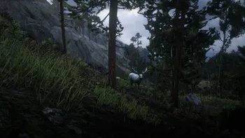 Legendary Elk