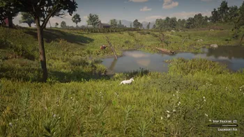 Legendary Fox