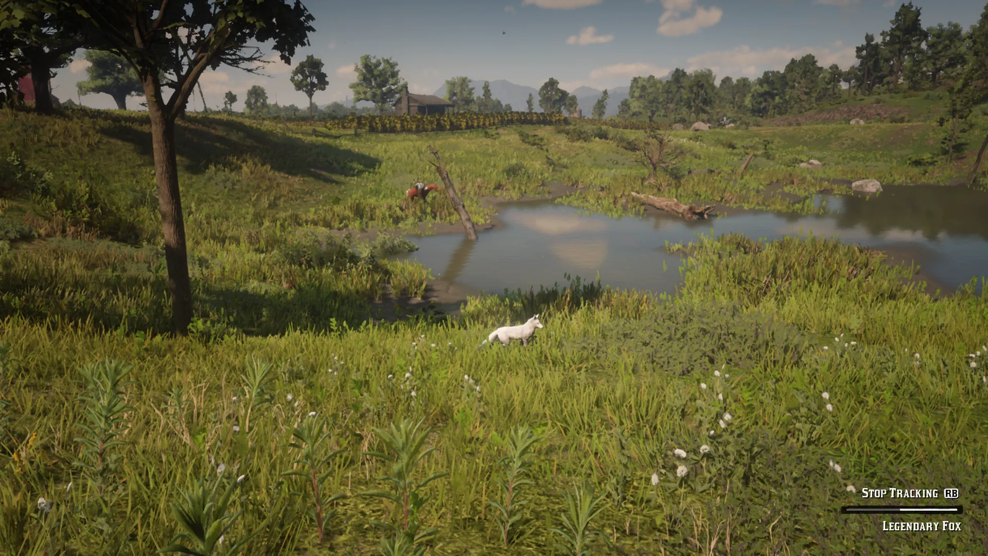 Legendary Fox Location - Legendary Animal - Red Dead Redemption 2 Map ...