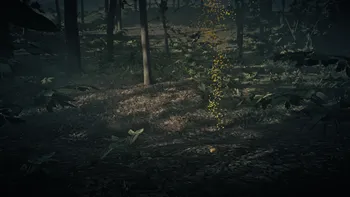 Legendary Fox First Clue