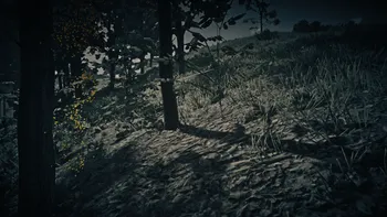 Legendary Fox Third Clue