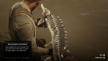 Legendary Lake Sturgeon