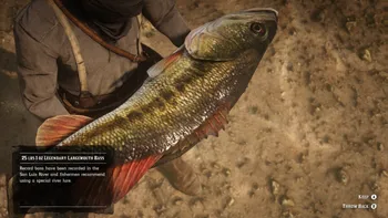 Legendary Largemouth Bass