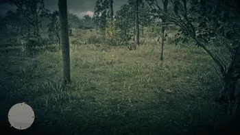 Legendary Moose Second Clue