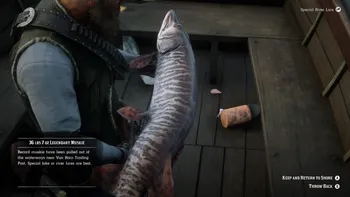 Legendary Muskie Location