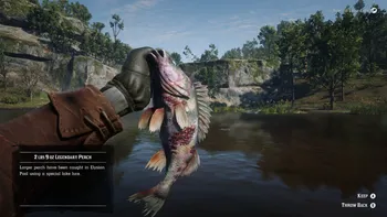 Legendary Perch