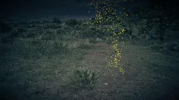 Legendary Pronghorn Third Clue